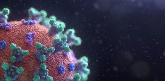 Coronavirus, image via Unsplash